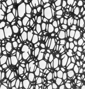 Reticulated vitreous carbon (RVC) porous structure with interconnected pores for electrochemical applications.